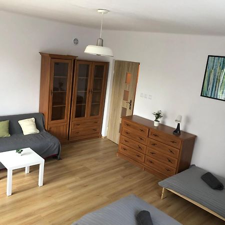 Apartament “Jasny” Nad Wisla Dobrzyków エクステリア 写真