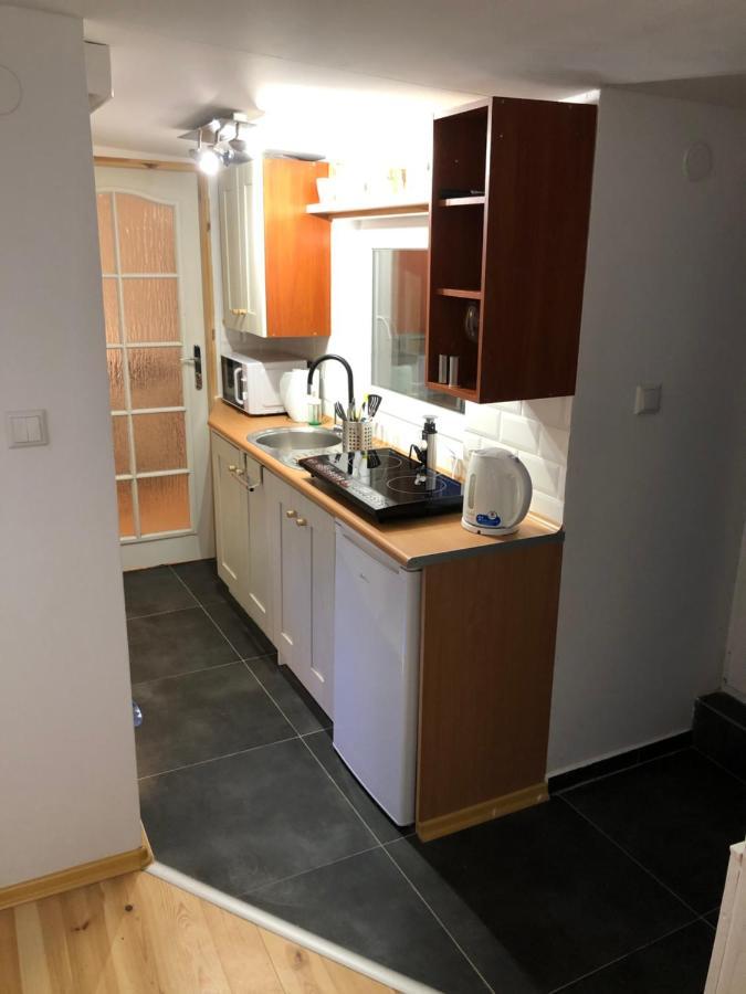Apartament “Jasny” Nad Wisla Dobrzyków エクステリア 写真